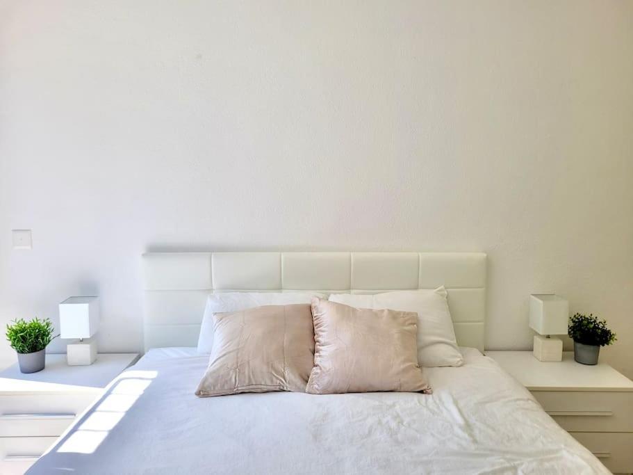 Apartment Palma - Central & Cozy With Free Private Parking Lugano Exterior photo